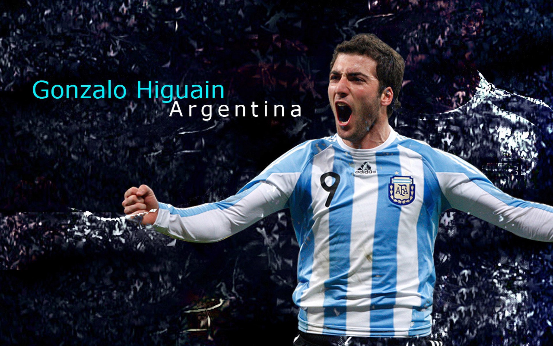 开云体育移动版-_环天跑:在天空中迎风奔跑_,什么时候给树木施肥